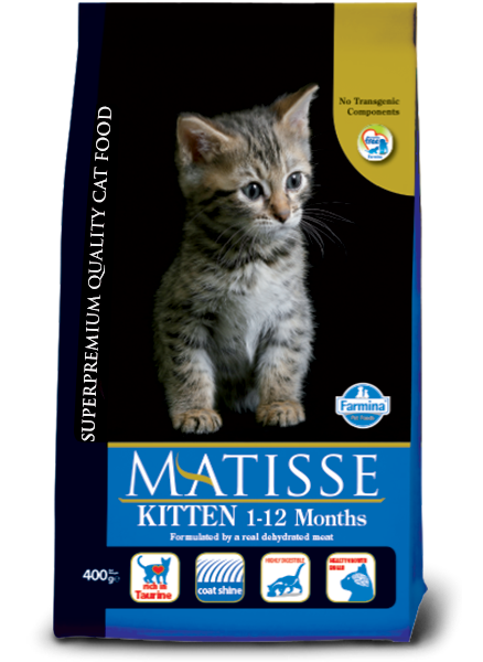 Matisse Kitten 1-12 Months