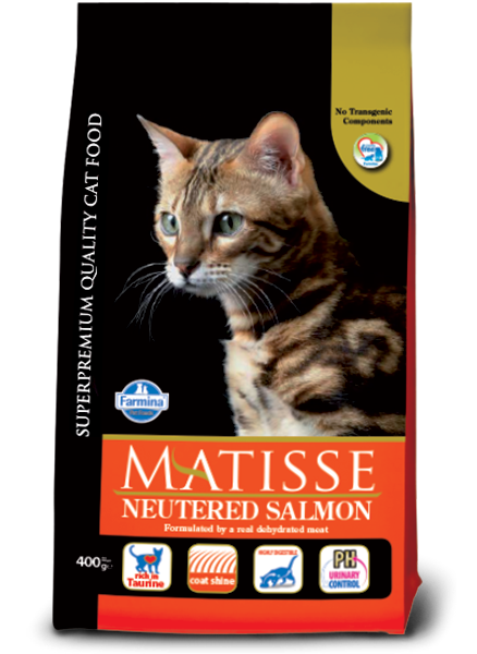 Matisse Neutered Salmon